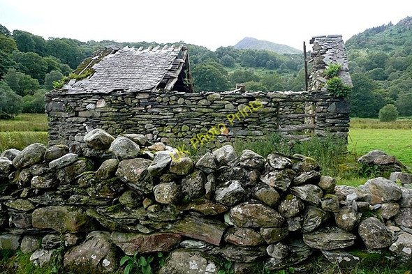 Photo 6"x4" Ruin west of Pont Cynfyng Capel Curig c2009