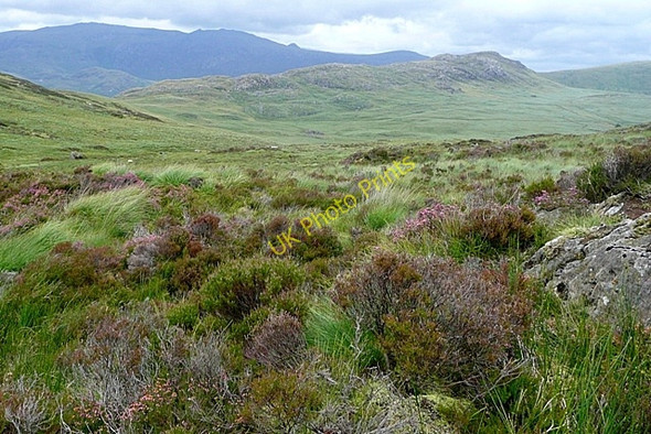 Photo 6"x4" Cwm Edno Blaenau Dolwyddelan c2009