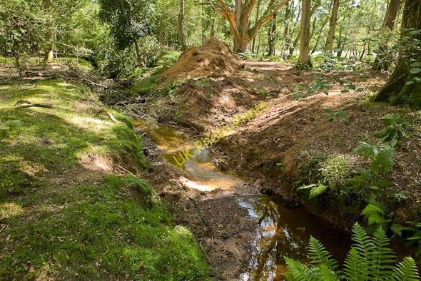 Photo 6"x4" Warwickslade Cutting: the new stream takes shape (start of sequence) Bank\/SU2807 c2009