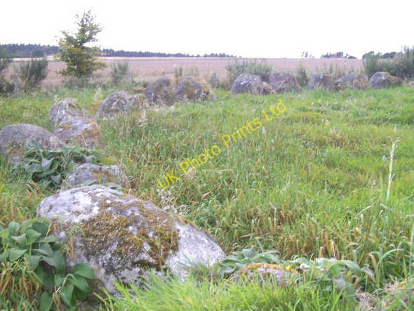 Photo 6"x4" A Stone Circle at  Moyness Whitemire\/NH9754 c2007
