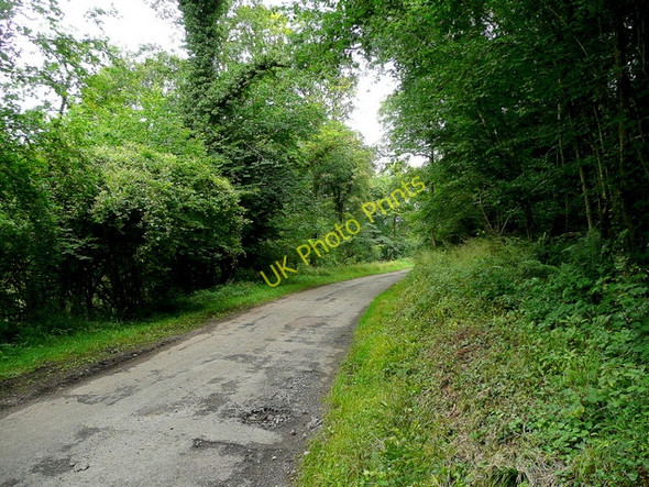 Photo 6"x4" Lane north to Staunton Redbrook\/SO5310 c2009