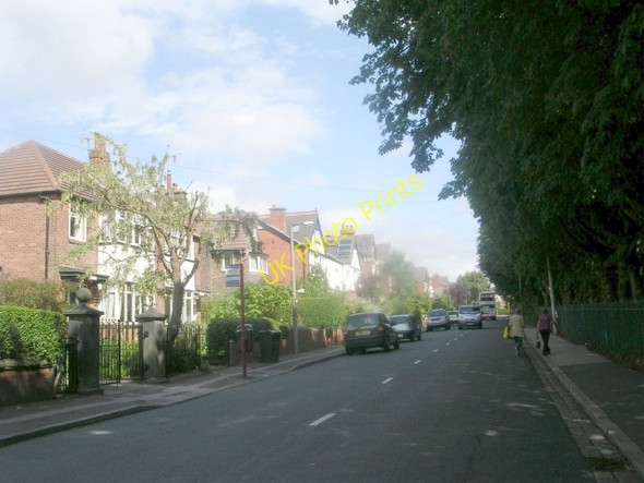 Photo 6"x4" Jackson Avenue - viewed from Lidgett Grove Chapel Allerton\/SE3037 c2009 P1