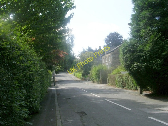 Photo 6"x4" Wedgewood Drive - Lidgett Park Road Lidgett Park c2009