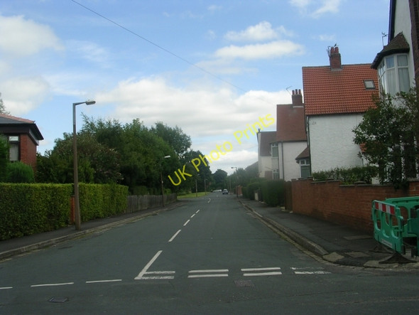 Photo 6"x4" Vale Avenue - Norton Avenue Lidgett Park c2009