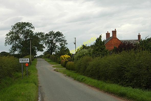 Photo 6"x4" Fauls on a dull day Fauls c2009