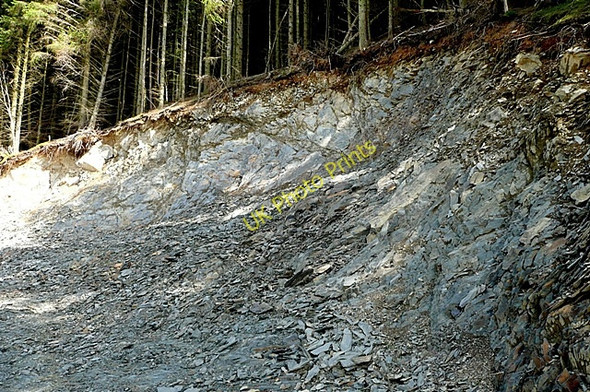 Photo 6"x4" Quarry in the forest Penllyn Forest c2009