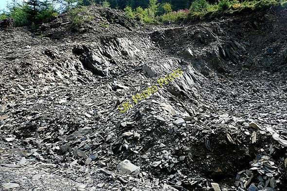 Photo 6"x4" Quarry in the forest Penllyn Forest c2009 P1