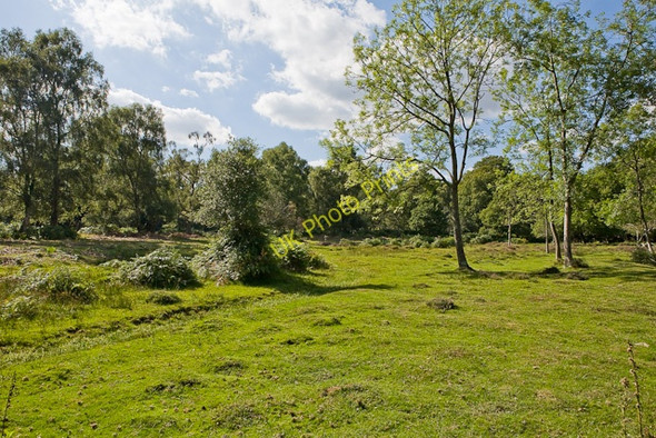 Photo 6"x4" Clearing east of Knightwood Oak Bank\/SU2807 c2009