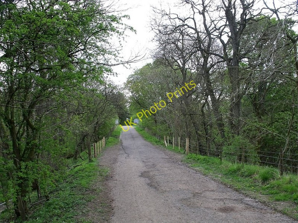 Photo 6"x4" Broom Road to Abronhill Cumbernauld c2010