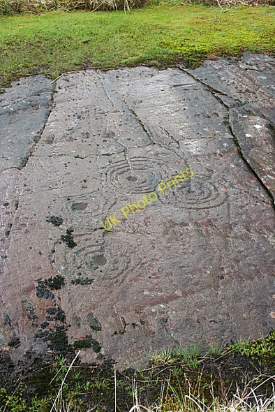 Photo 6"x4" Cup-and-Ring Marked Rocks (6) Lochgilphead c2010