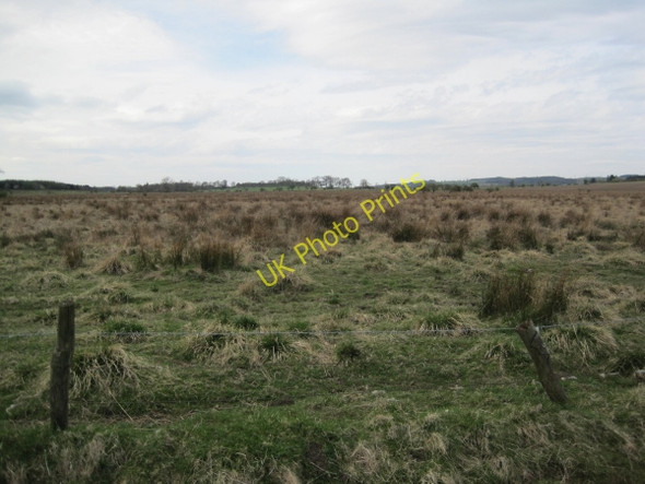 Photo 6"x4" Shildon Bog near Low Shildon Newton Hall\/NZ0365 c2010