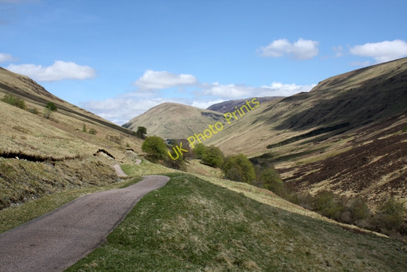 Photo 6"x4" Glen Gloy Clunes c2010