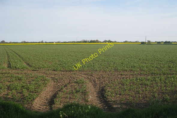 Photo 6"x4" Field near Beachcroft Farm New Romney c2010