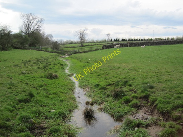 Photo 6"x4" Bowbridge Burn near Great Whittington Great Whittington c2010