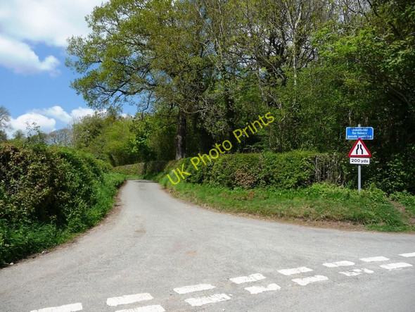 Photo 6"x4" The lane to Treflach Hall Gronwen\/SJ2726 c2010