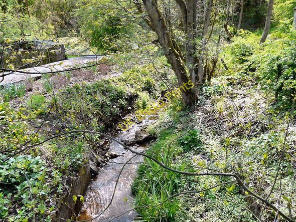 Photo 6"x4" Dinting Brook Glossop c2010