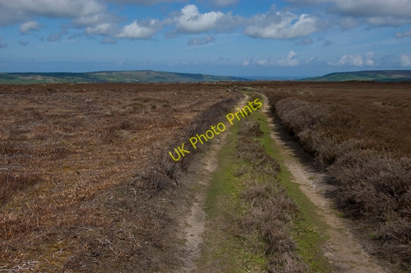 Photo 6"x4" Moorland track across Egton High Moor Key Green\/NZ8004 c2010