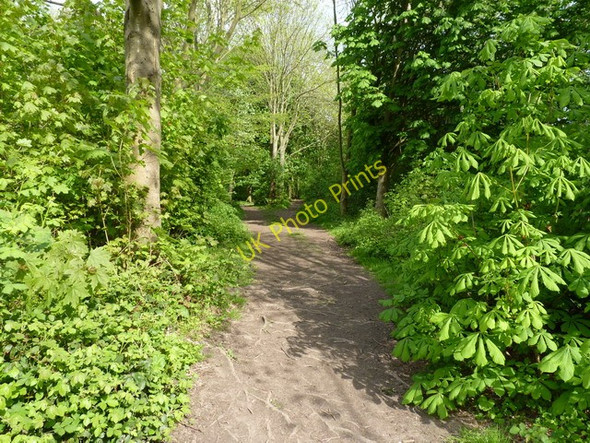 Photo 6"x4" Footpath and bridleway in Lloyds' Coppice Blists Hill c2010