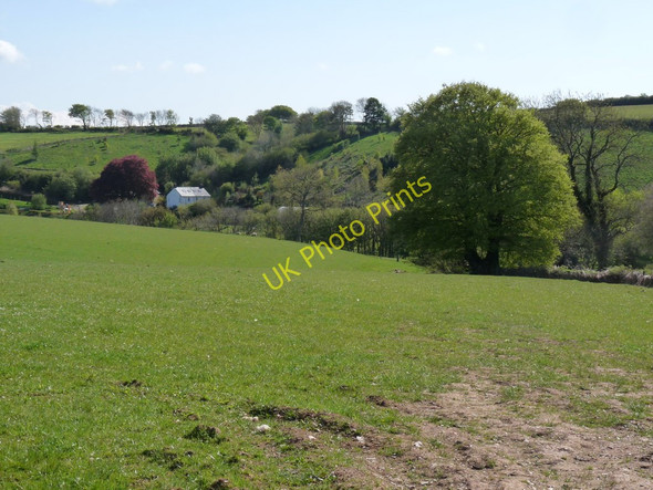 Photo 6"x4" Cleave Farm, near Bugford Bugford c2010
