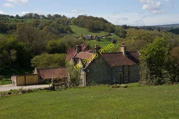 Photo 6"x4" Hall Grange farm Key Green\/NZ8004 c2010