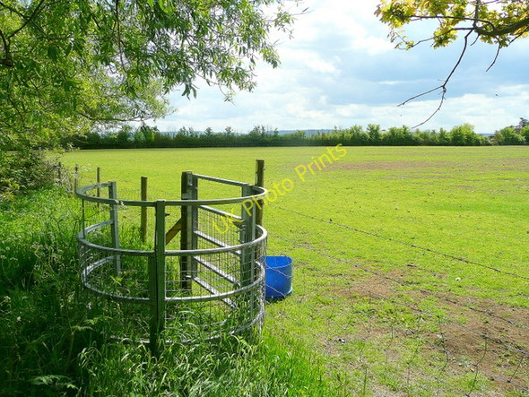 Photo 6"x4" Kissing Gate, Elmstone Hardwicke Elmstone Hardwicke c2010