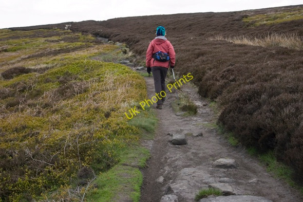 Photo 6"x4" Bridleway on Glaisdale Moor Street\/NZ7304 c2010