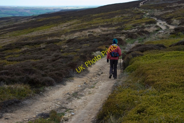 Photo 6"x4" Bridleway on Glaisdale Moor Street\/NZ7304 c2010 P1
