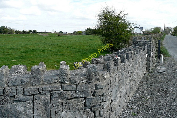 Photo 6"x4" Pasture at Lissan East Clarecastle c2010