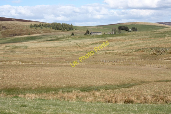 Photo 6"x4" Boggy land by the Burn of Badchear Black Hill\/NJ3532 c2010