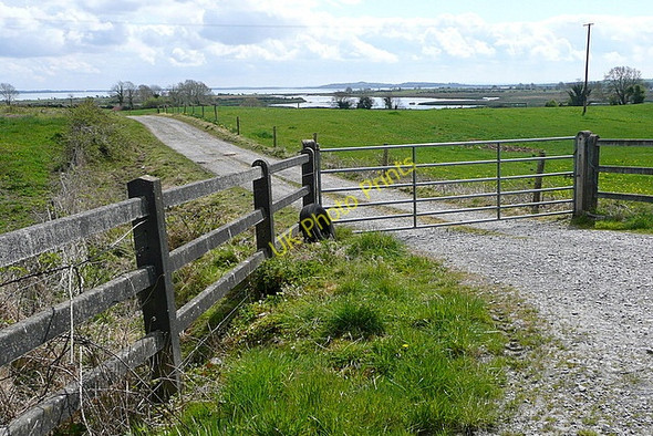 Photo 6"x4" Farm track at Lisheen Ballynacally c2010