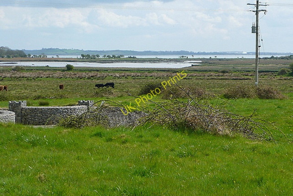 Photo 6"x4" Rough grazing at Ballycorick Ballynacally c2010