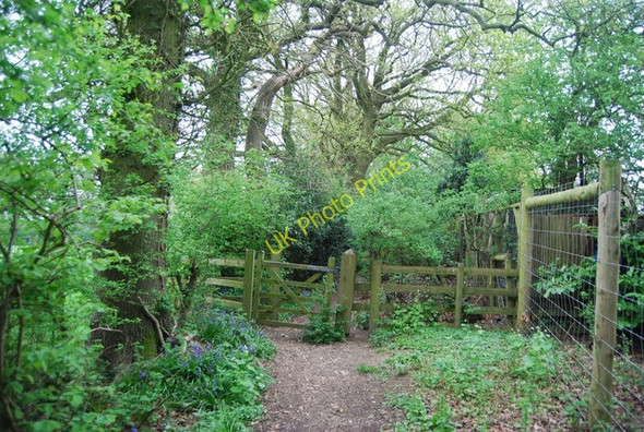 Photo 6"x4" Kissing gate on the edge of Manning's Heath Mannings Heath c2010