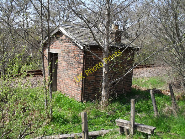 Photo 6"x4" Old Railway shed Little Torboll c2010