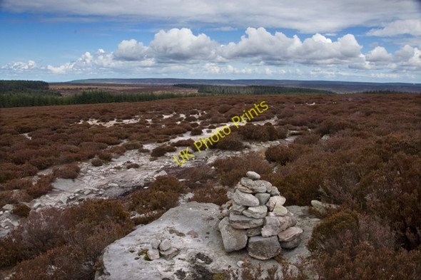 Photo 6"x4" Cairn on The Lyke Wake Walk track Wheedale Plantation c2010