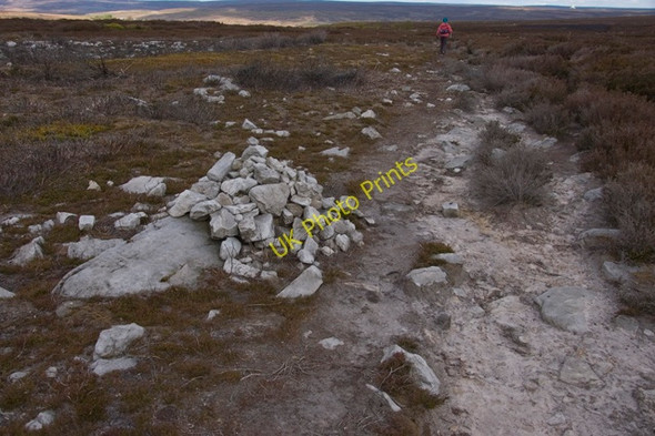 Photo 6"x4" Cairn and Moorland track on Wheeldale Moor Middle Rigg\/SE7997 c2010