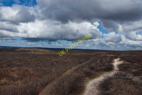 Photo 6"x4" Newly burnt heather moor on the Lyke Wake Walk Middle Rigg\/SE7997 c2010