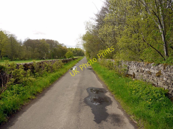 Photo 6"x4" Minor road west of Beltingham Bardon Mill c2010