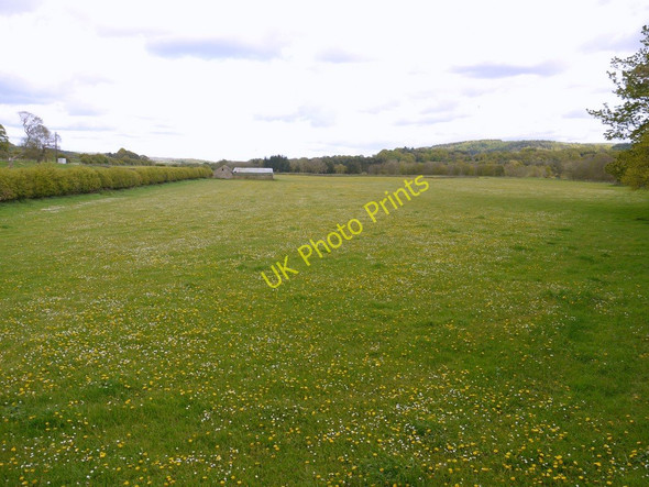Photo 6"x4" Riverside meadow near Bardon Mill Bardon Mill c2010