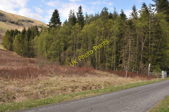 Photo 6"x4" Road, rough grazing and the edge of a patch of forest near Killin Monemore c2010