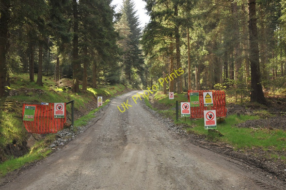 Photo 6"x4" Forestry road in Strathyre Forest Strathyre\/NN5617 c2010