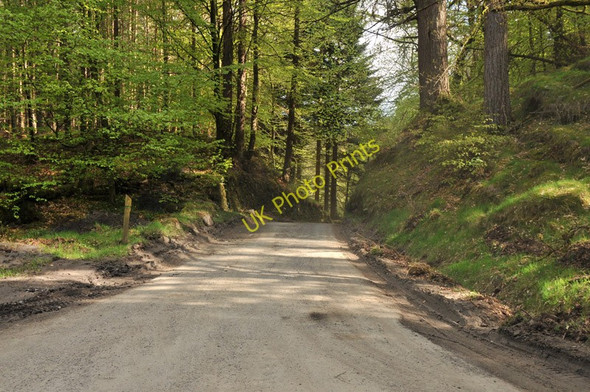 Photo 6"x4" Road from Stroneslaney to Strathyre Strathyre\/NN5617 c2010