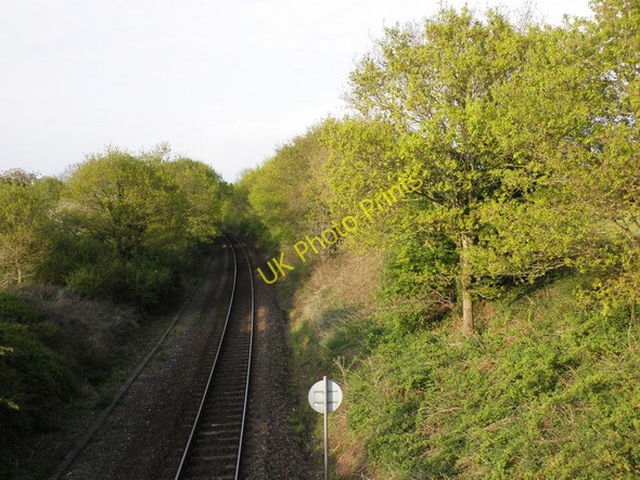 Photo 6"x4" Railway cutting, on the Waterloo line, east of Whimple Aller Grove c2010