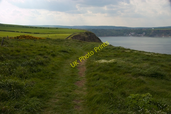 Photo 6"x4" Clifftop path, Kettleness Goldsborough\/NZ8314 c2010