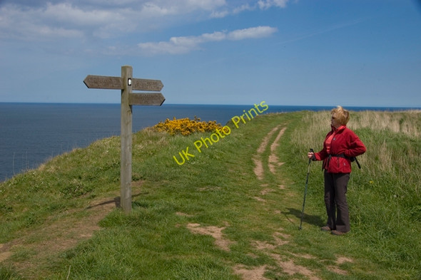 Photo 6"x4" Footpath junction on the Cleveland Way Goldsborough\/NZ8314 c2010