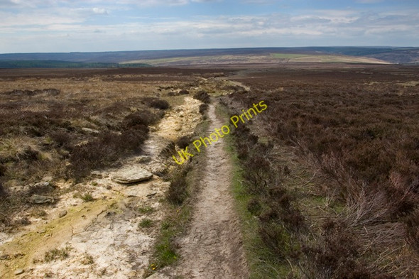 Photo 6"x4" Crossing Howl Moor Goathland c2010