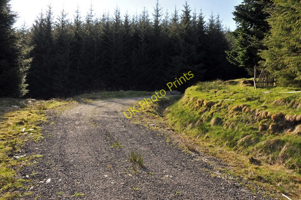 Photo 6"x4" Gravel road into the forest near Ballimore Balquhidder c2010