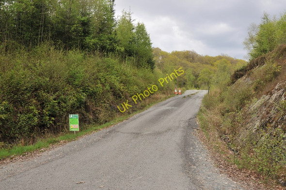 Photo 6"x4" Road into the forestry north of Loch Achray Brig o' Turk c2010