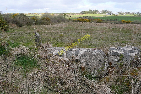 Photo 6"x4" Rough grazing at Shannacool Derragh c2010