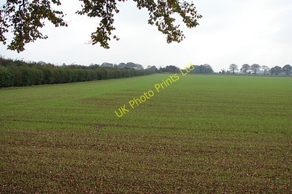 Photo 6"x4" Arable Field north-east of Gayton Gayton Thorpe c2007