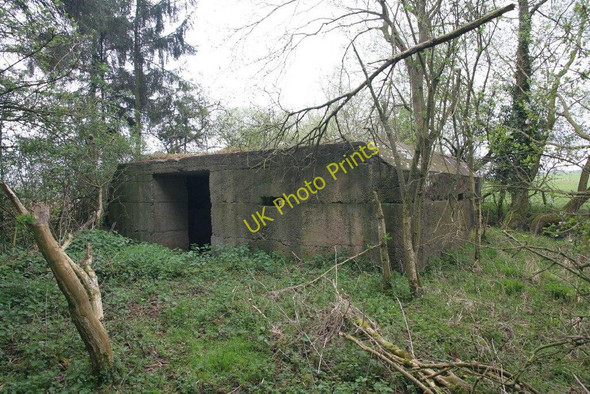 Photo 6"x4" Entrance in the woods Netherton\/SU4199 c2010